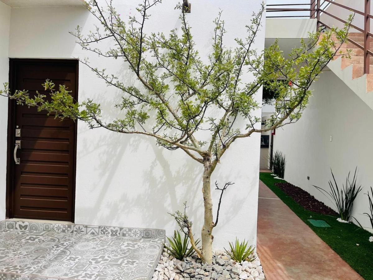 Casa Maya La Paz Buitenkant foto